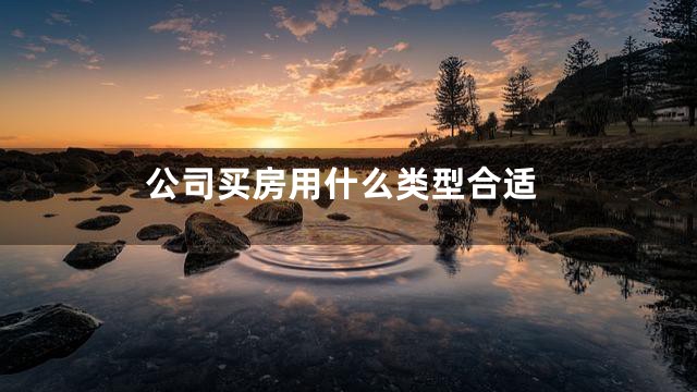 公司买房用什么类型合适