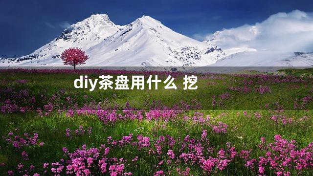 diy茶盘用什么 挖