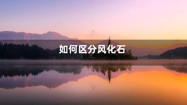 如何区分风化石