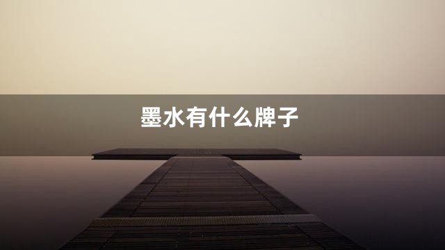 墨水有什么牌子