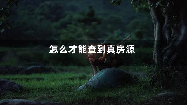 怎么才能查到真房源