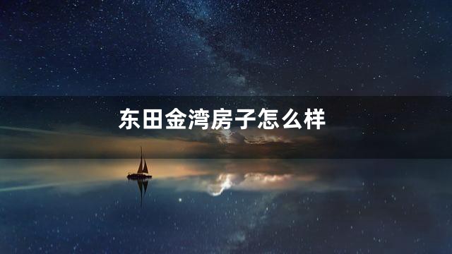 东田金湾房子怎么样