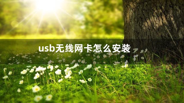 usb无线网卡怎么安装
