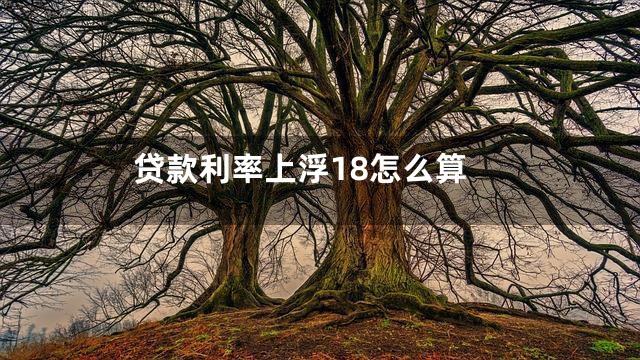 贷款利率上浮18怎么算
