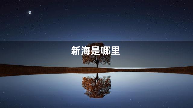 新海是哪里