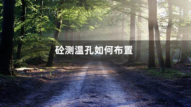 砼测温孔如何布置