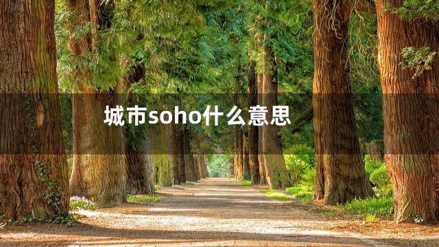 城市soho什么意思