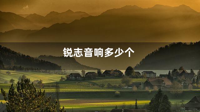 锐志音响多少个