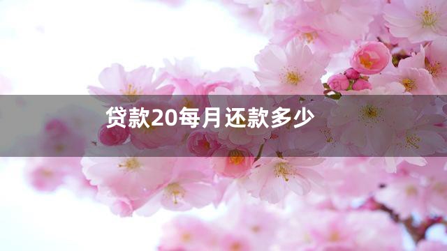 贷款20每月还款多少