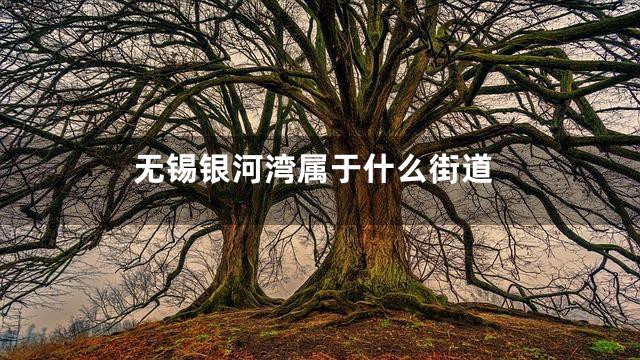 无锡银河湾属于什么街道