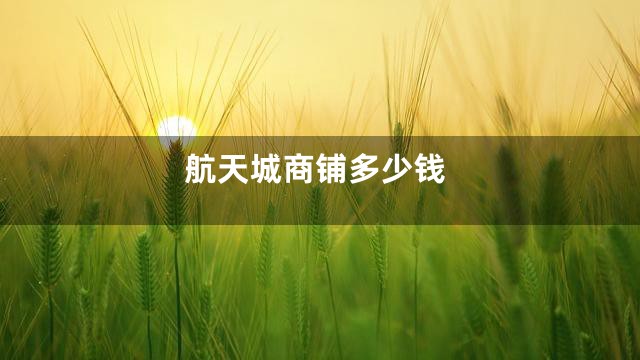 航天城商铺多少钱