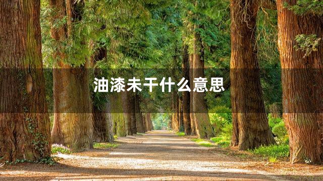 油漆未干什么意思