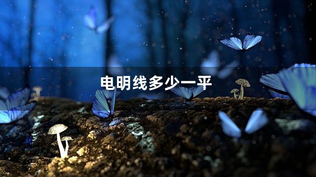 电明线多少一平