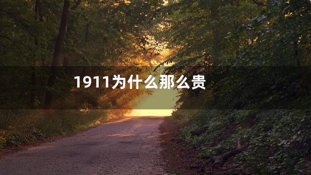 1911为什么那么贵