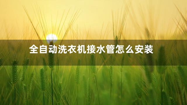 全自动洗衣机接水管怎么安装
