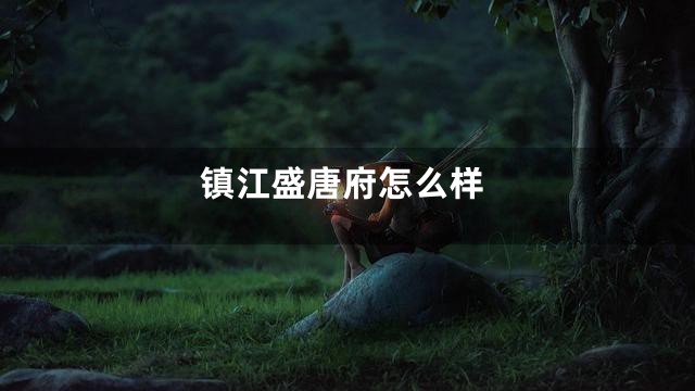 镇江盛唐府怎么样