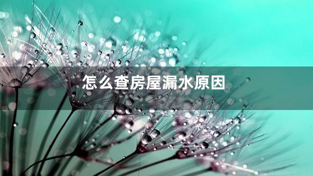 怎么查房屋漏水原因