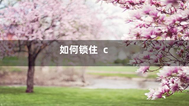 如何锁住  c