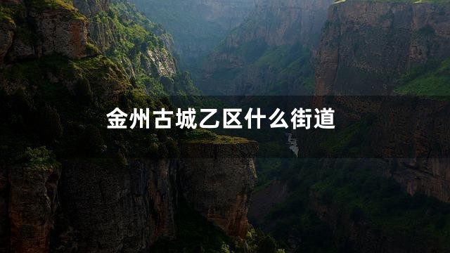 金州古城乙区什么街道