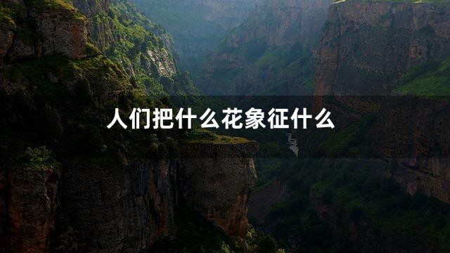 人们把什么花象征什么