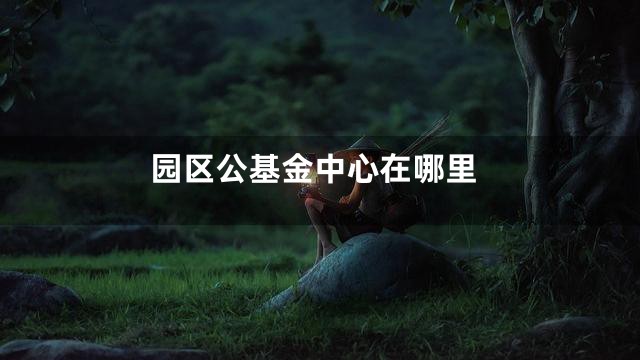园区公基金中心在哪里