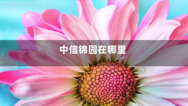 中信锦园在哪里