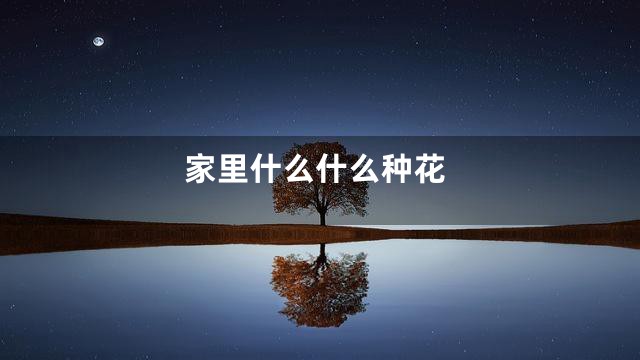家里什么什么种花