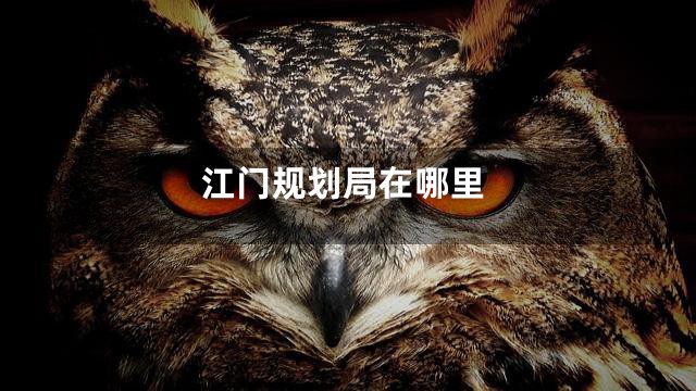 江门规划局在哪里