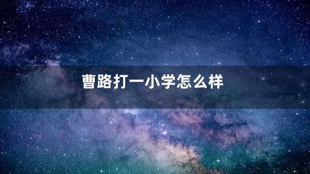 曹路打一小学怎么样