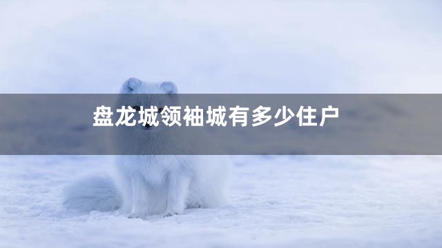 盘龙城领袖城有多少住户