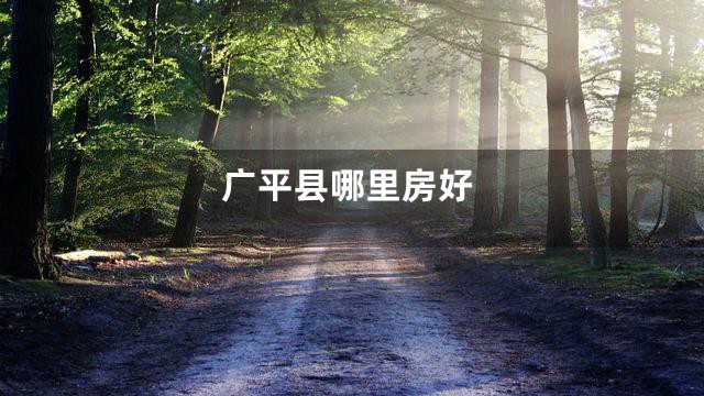广平县哪里房好