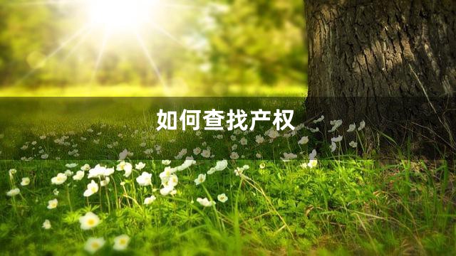 如何查找产权