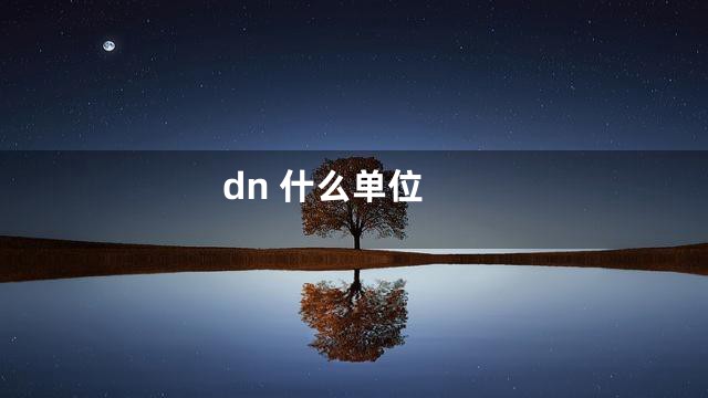 dn 什么单位