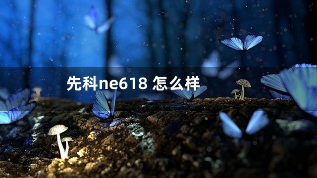 先科ne618 怎么样