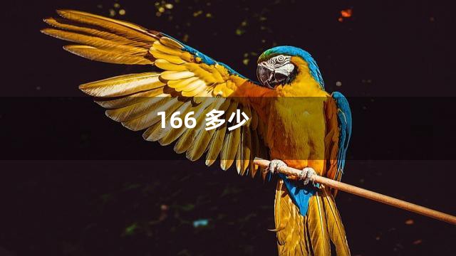 166 多少