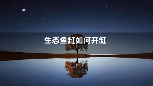 生态鱼缸如何开缸