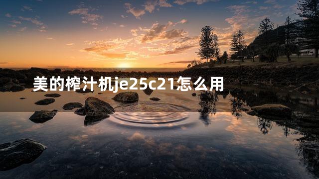 美的榨汁机je25c21怎么用