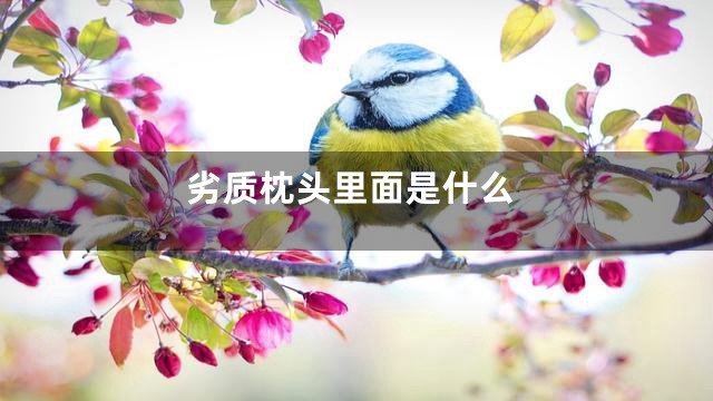 劣质枕头里面是什么