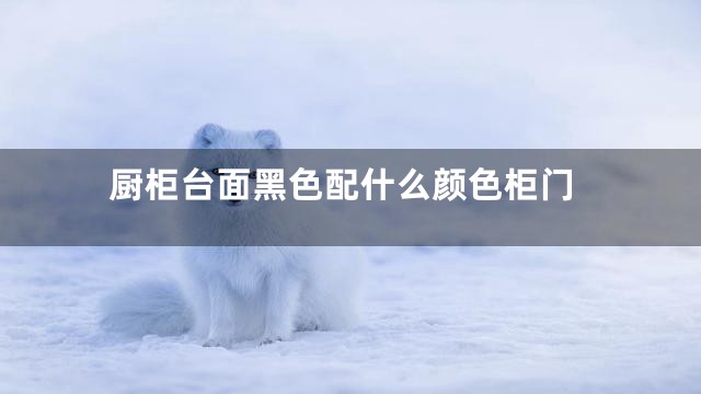 厨柜台面黑色配什么颜色柜门