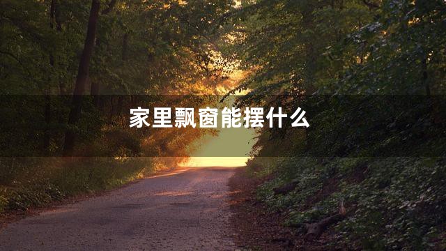 家里飘窗能摆什么