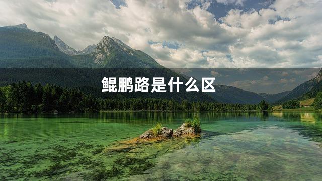 鲲鹏路是什么区