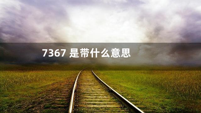 7367 是带什么意思