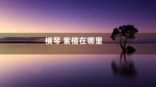 横琴 紫檀在哪里