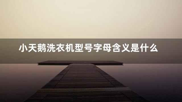 小天鹅洗衣机型号字母含义是什么