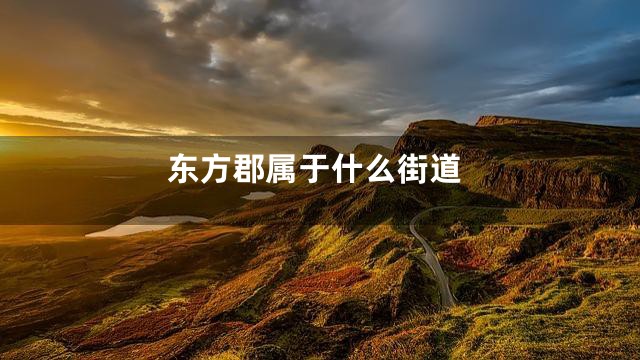 东方郡属于什么街道