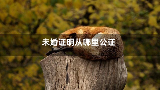 未婚证明从哪里公证