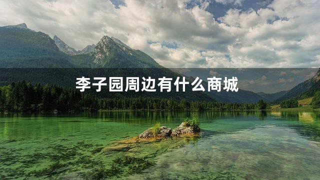 李子园周边有什么商城