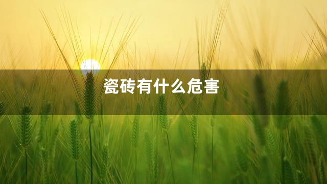 瓷砖有什么危害