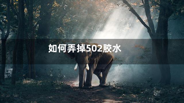如何弄掉502胶水