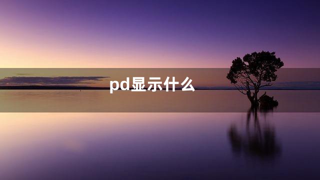 pd显示什么